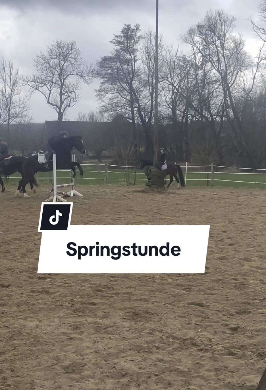 @reiterhofalteheld