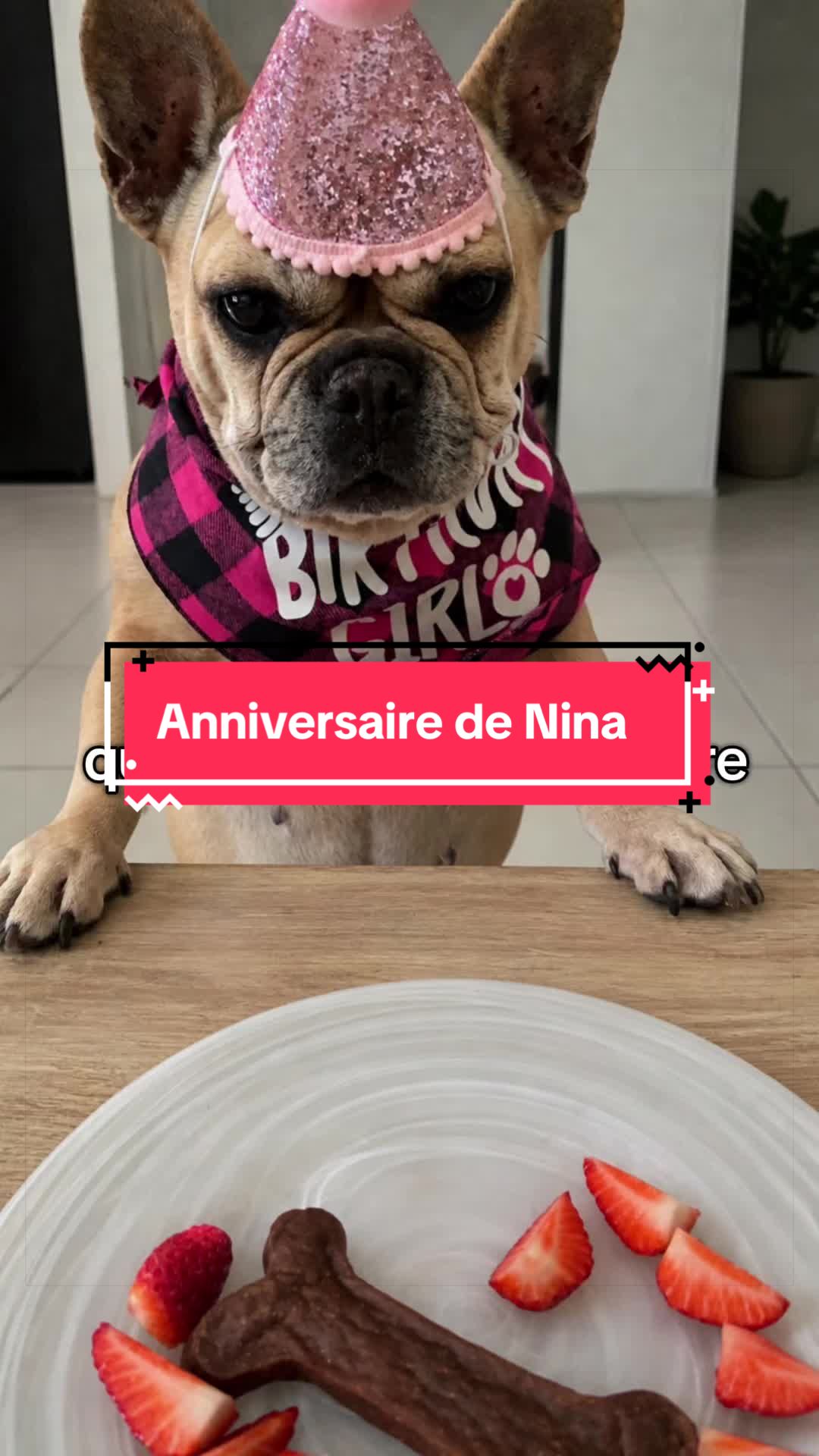 @les aventures de Nina