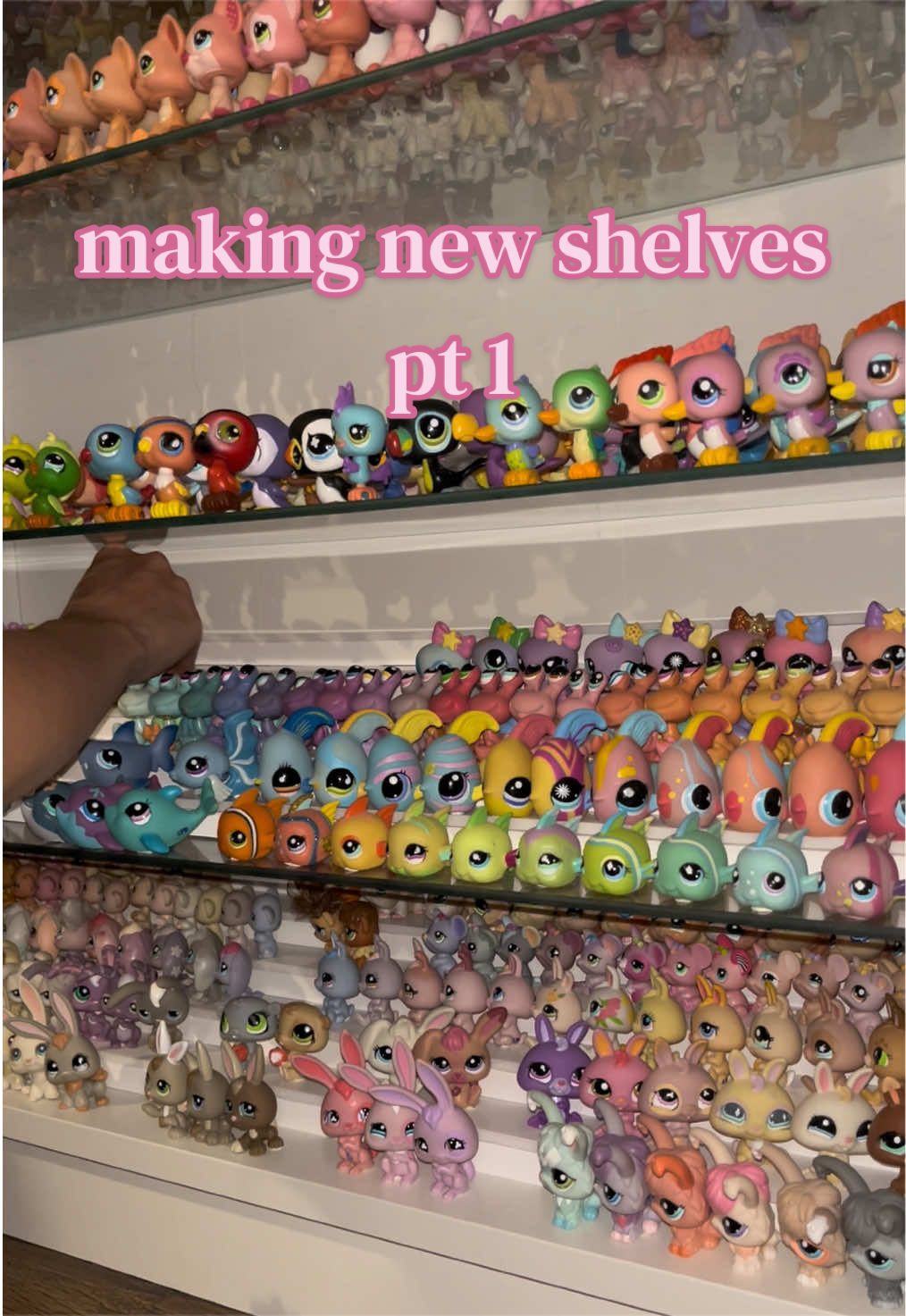 @angel.LPS