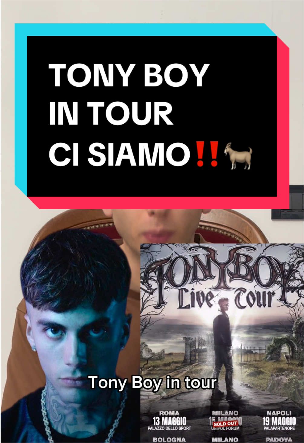 @anthonybellina