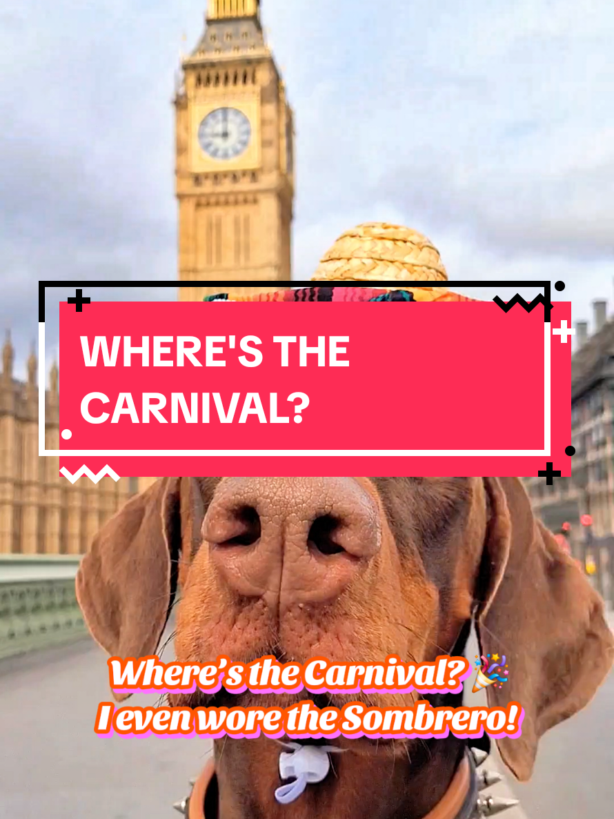 @Juno | The London Doberman