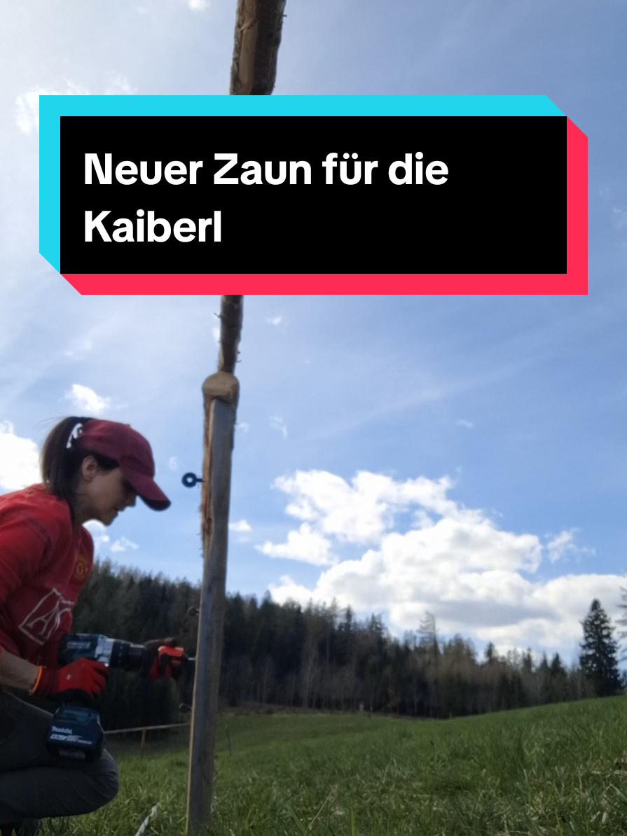 @christina.edler