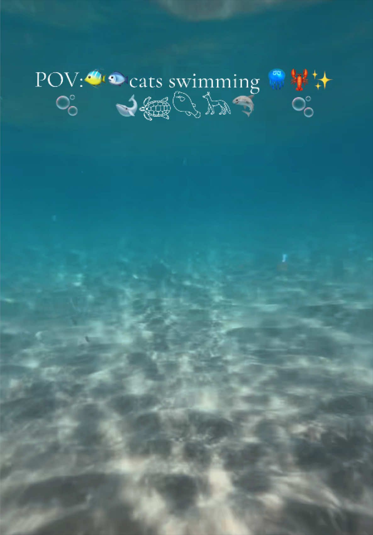 @🇪🇸🪼 𝒜𝓁𝒶𝓈𝓀𝒶˚🌀🇧🇬