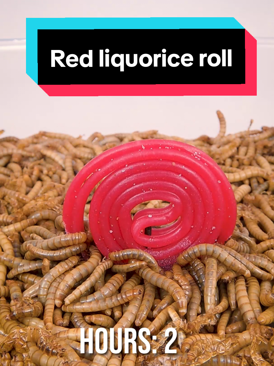 @wormlapse