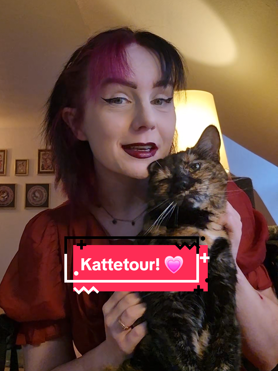 @Laura 😸💗