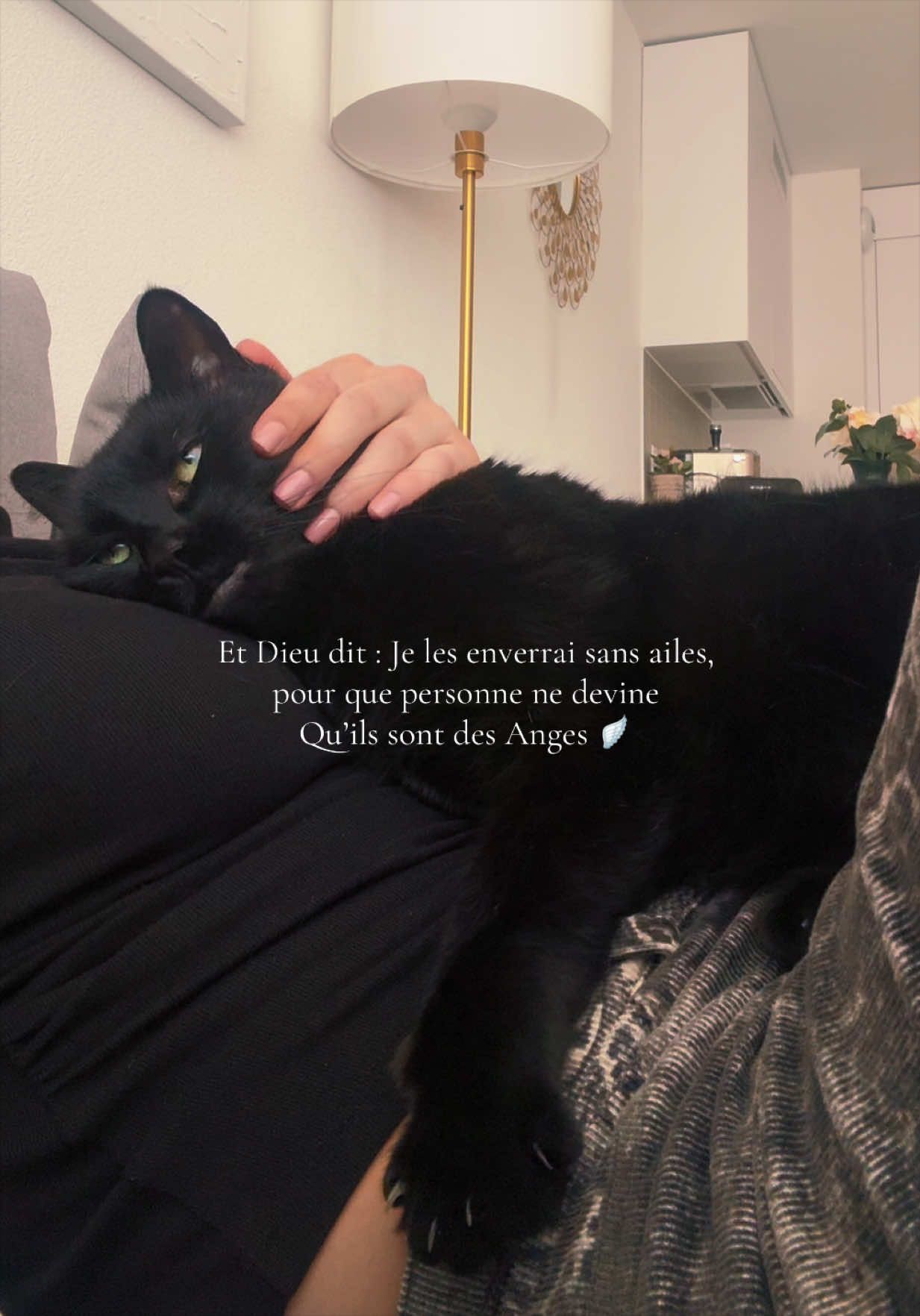 @Eva