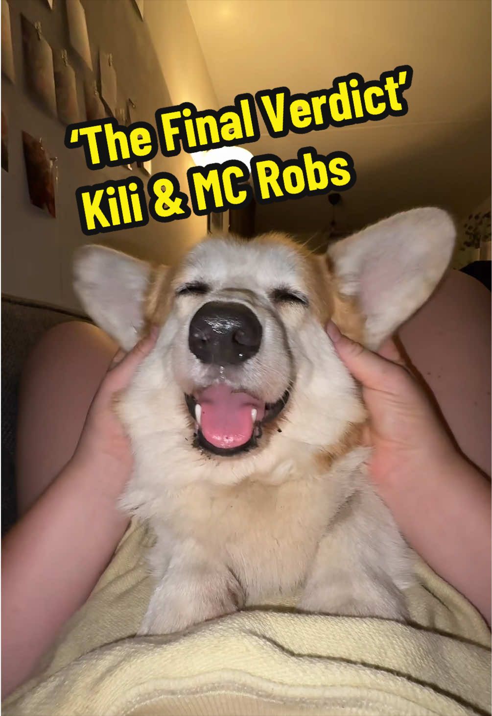 @Kickroll Corgi Charlie ๐ถ๐