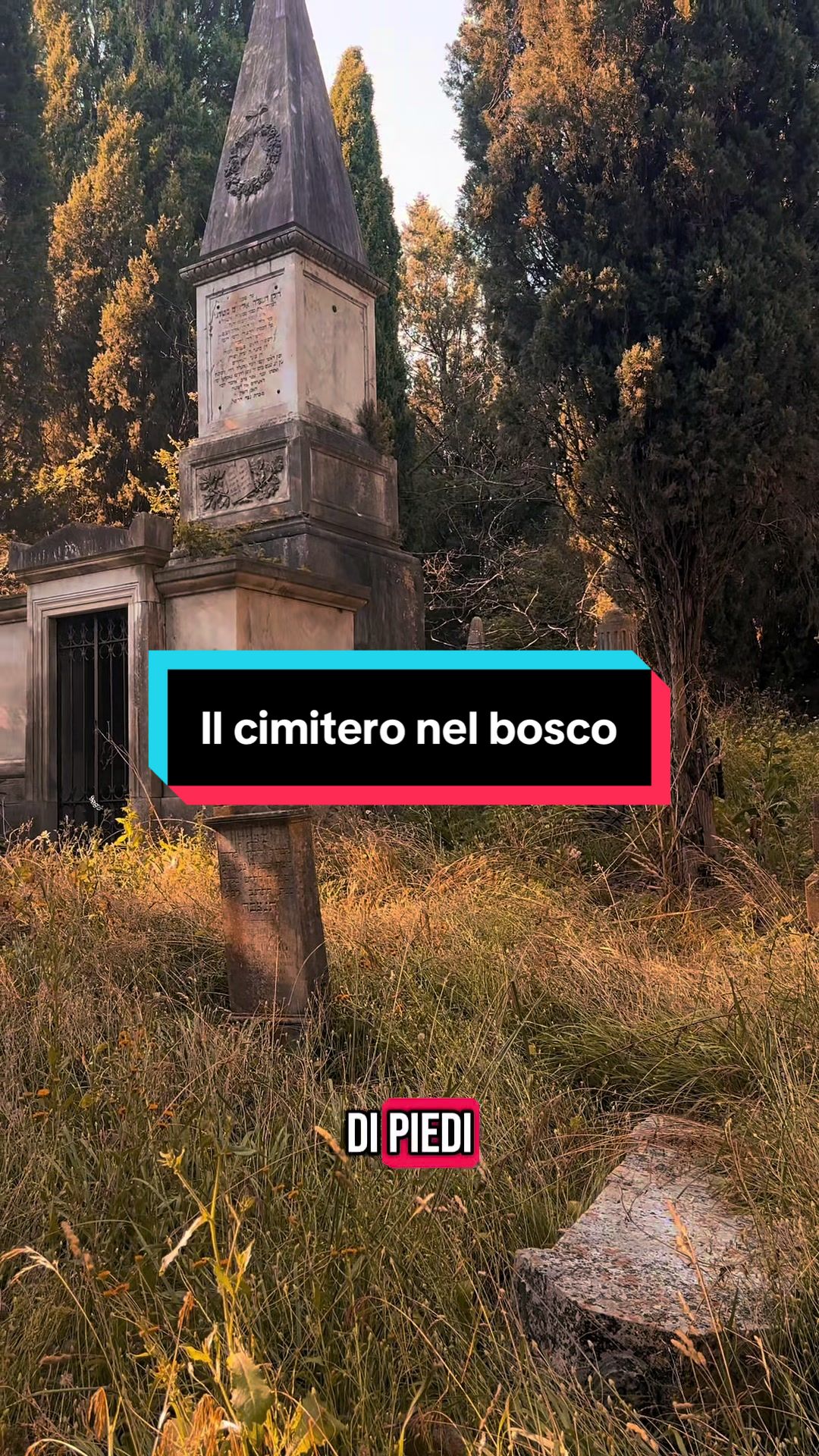 @Alessia Turri