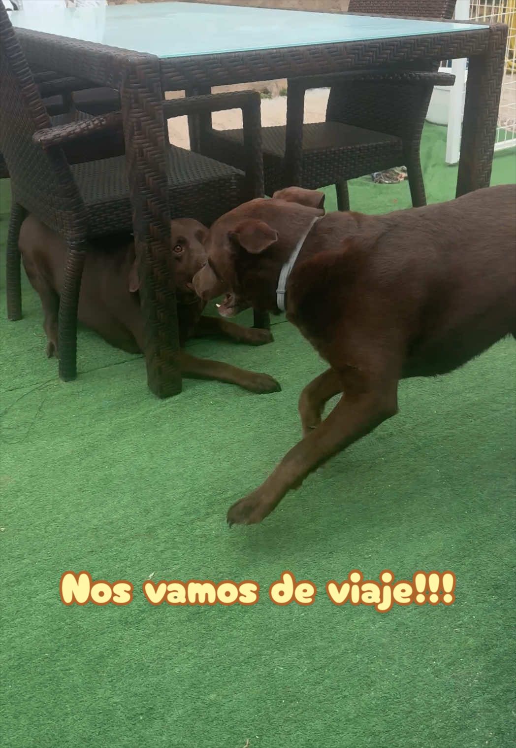 @Dos bombones