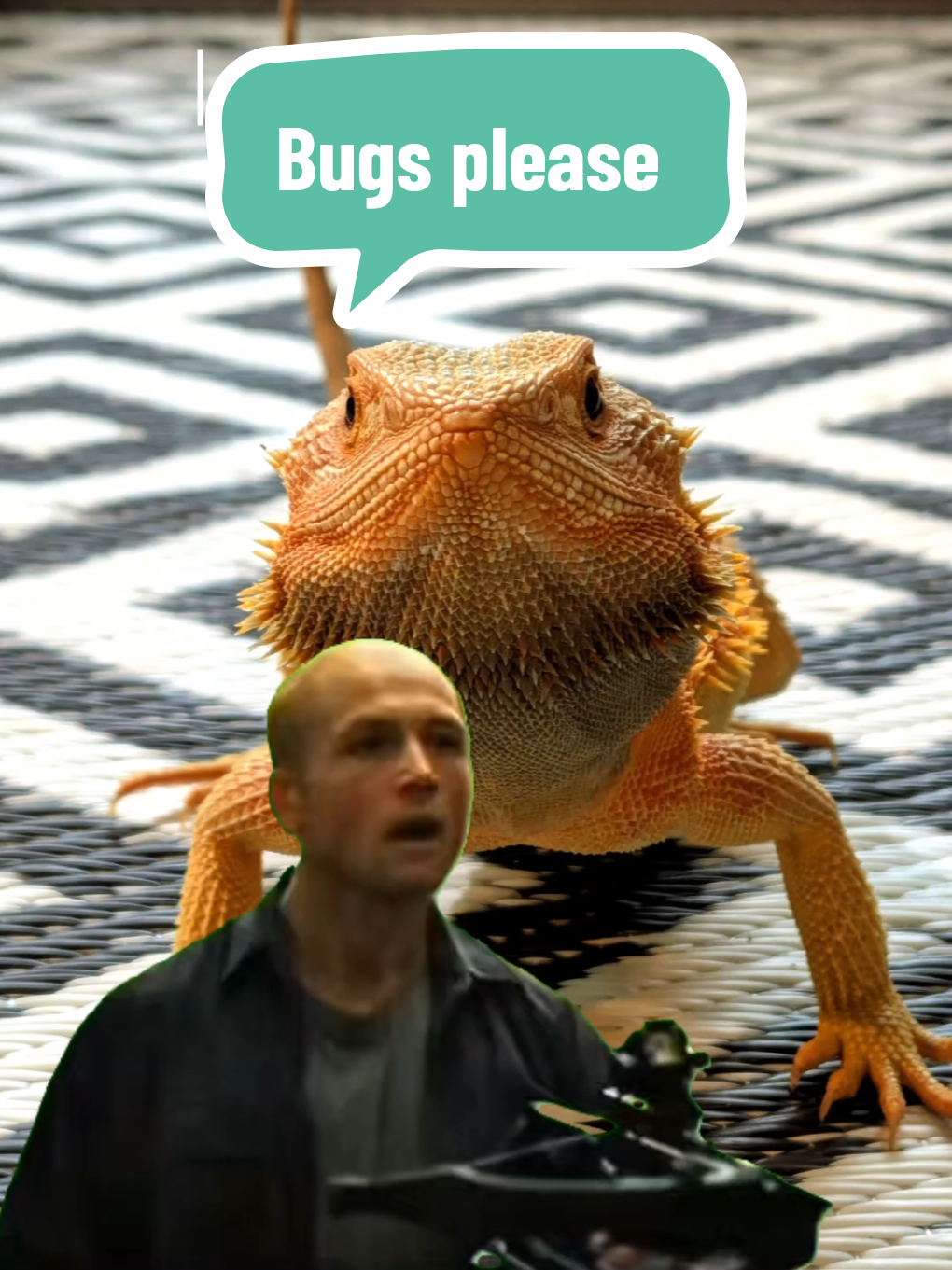 @Pets4people