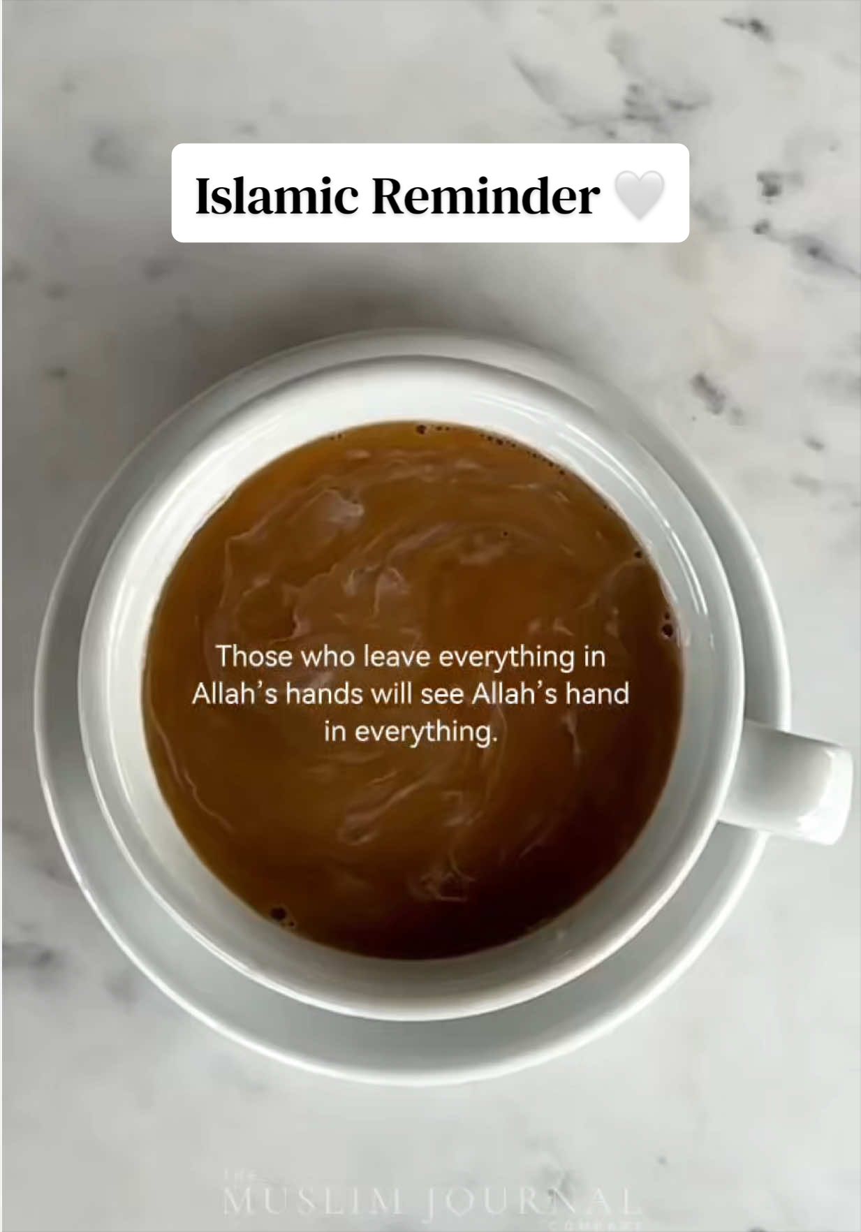 @The Muslim Journal Company