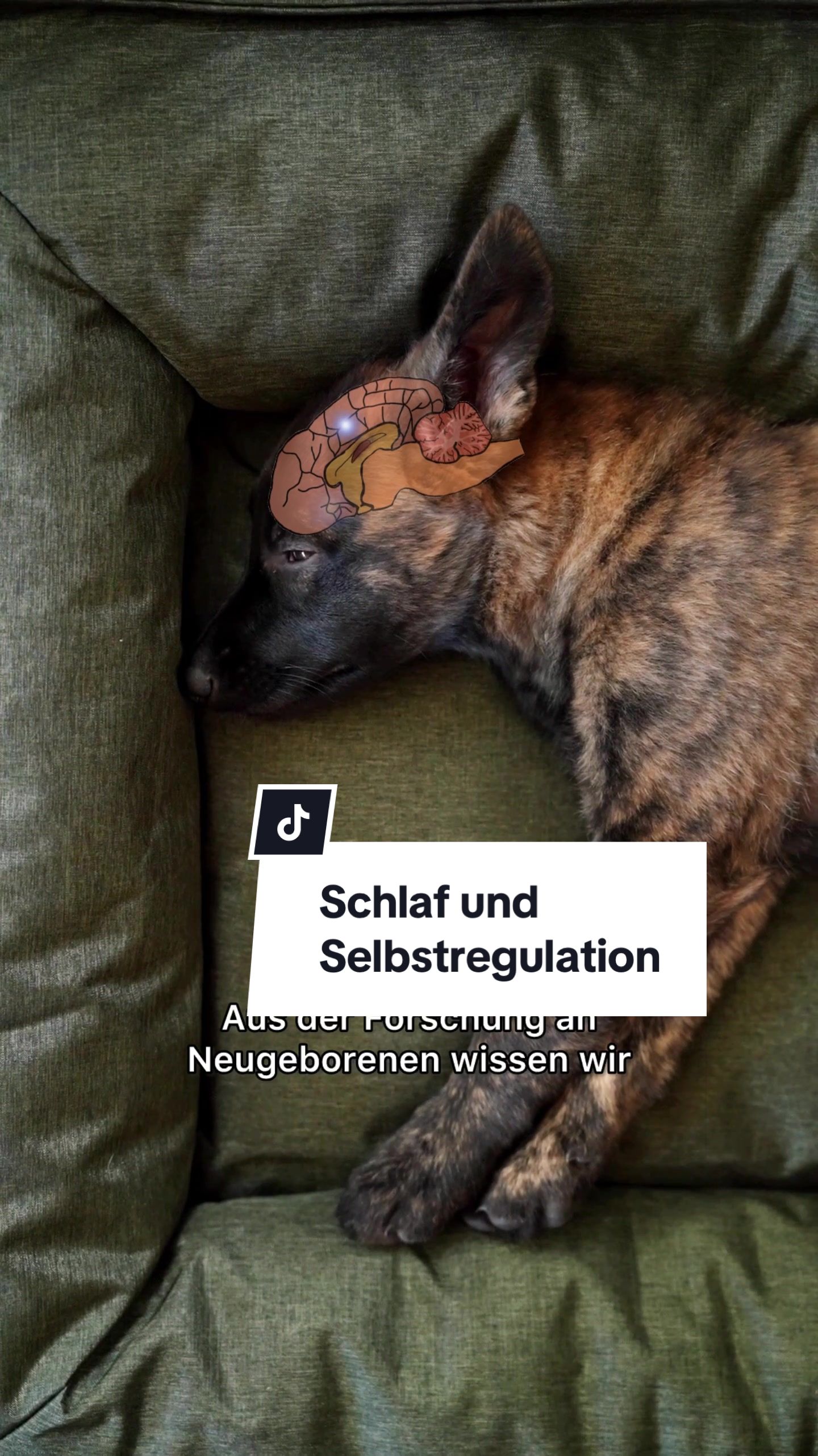 @Kathi