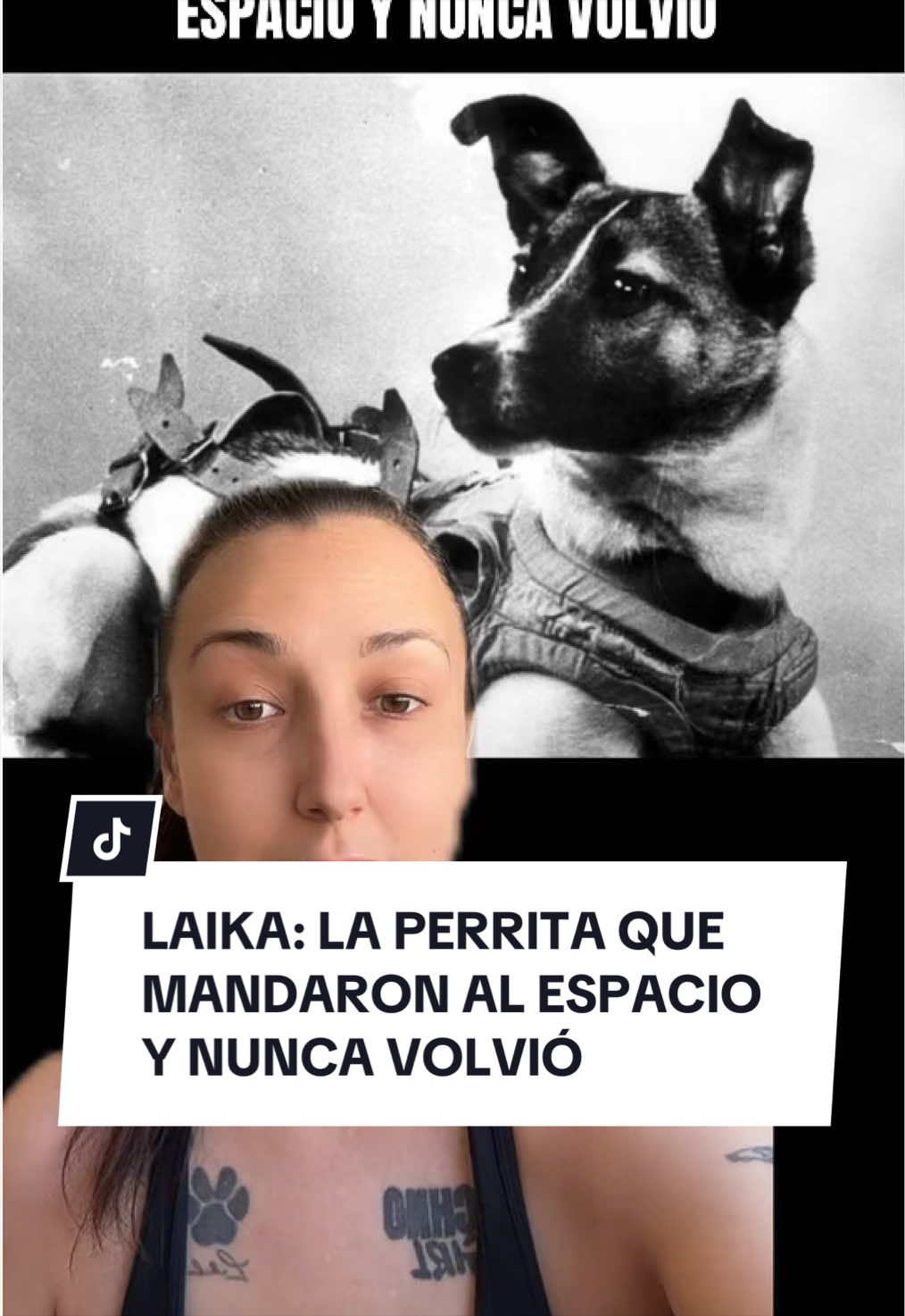 @S H E I L A 🧙🏻♀️🔮