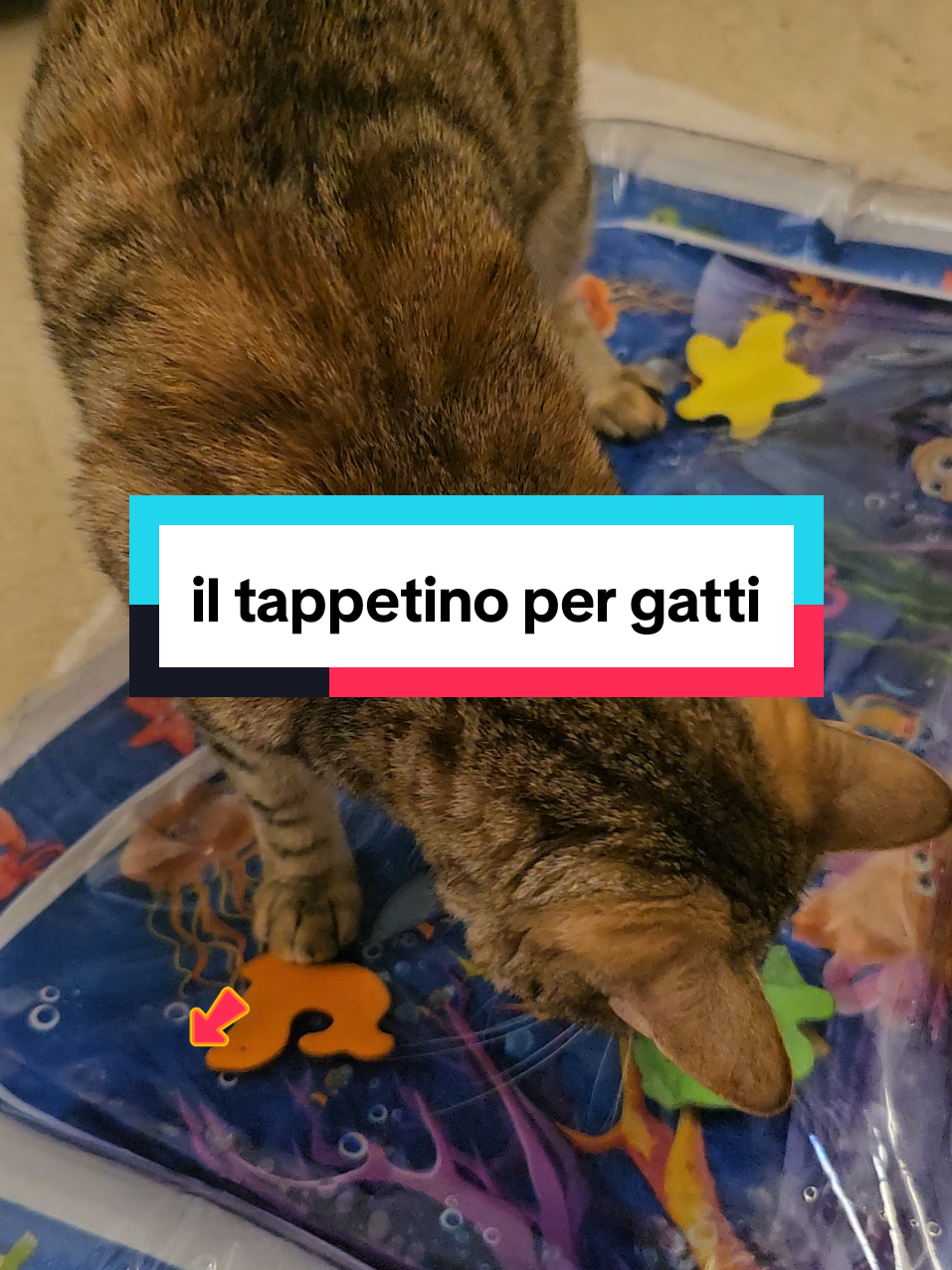 @PaolaCruci