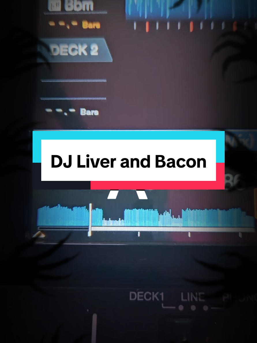 @DJ Liver and Bacon