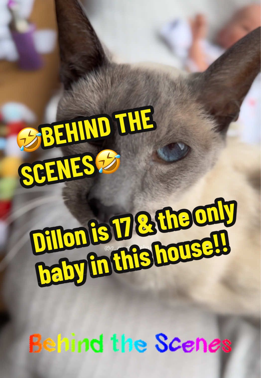 @A_NURSE_REBORN