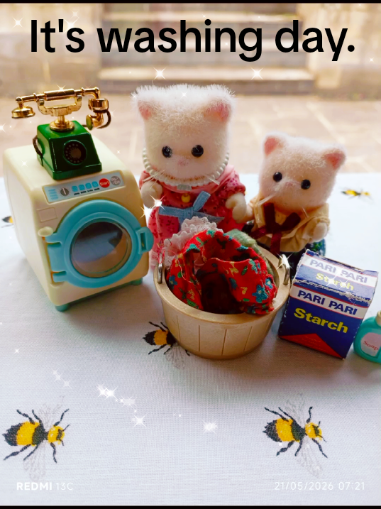@Not-Just-Sylvanian-IOW ❤️