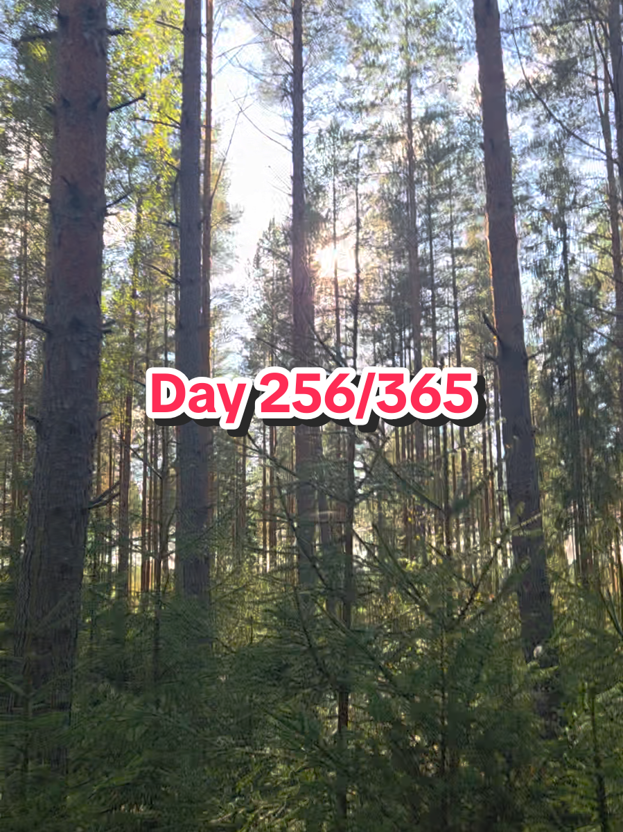 @Linus Selkälä