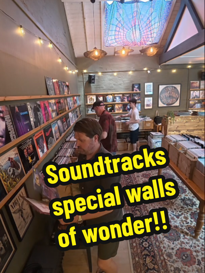 @Vinyl Shakedown Records