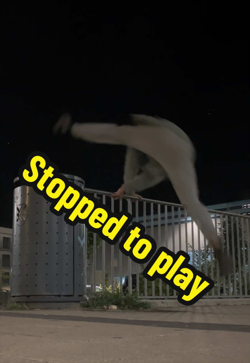 @zen_dragon_moves