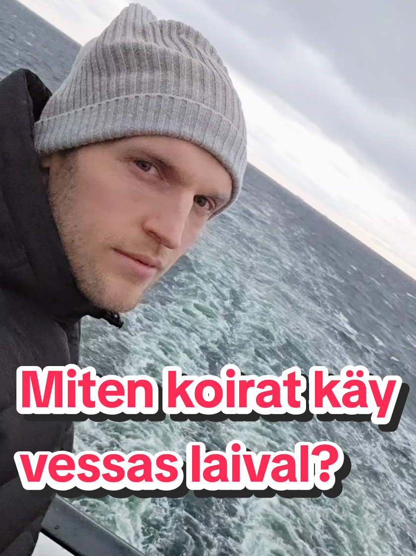 @Max Johan