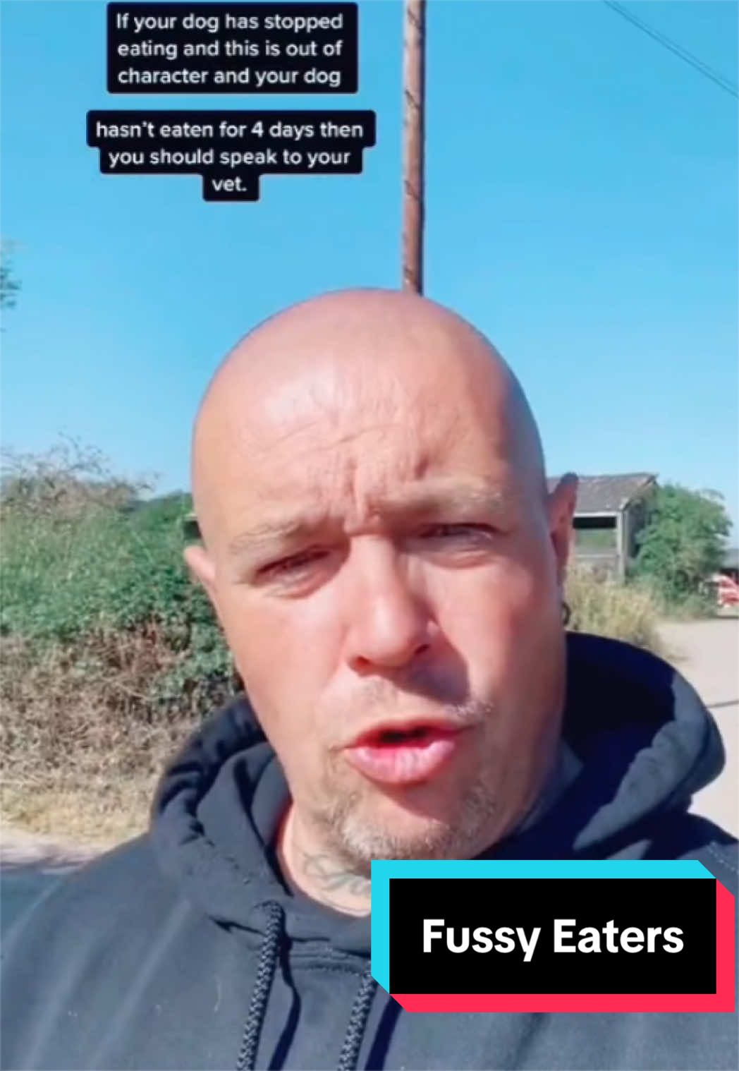 @LeeJonesOfficial Dog Training
