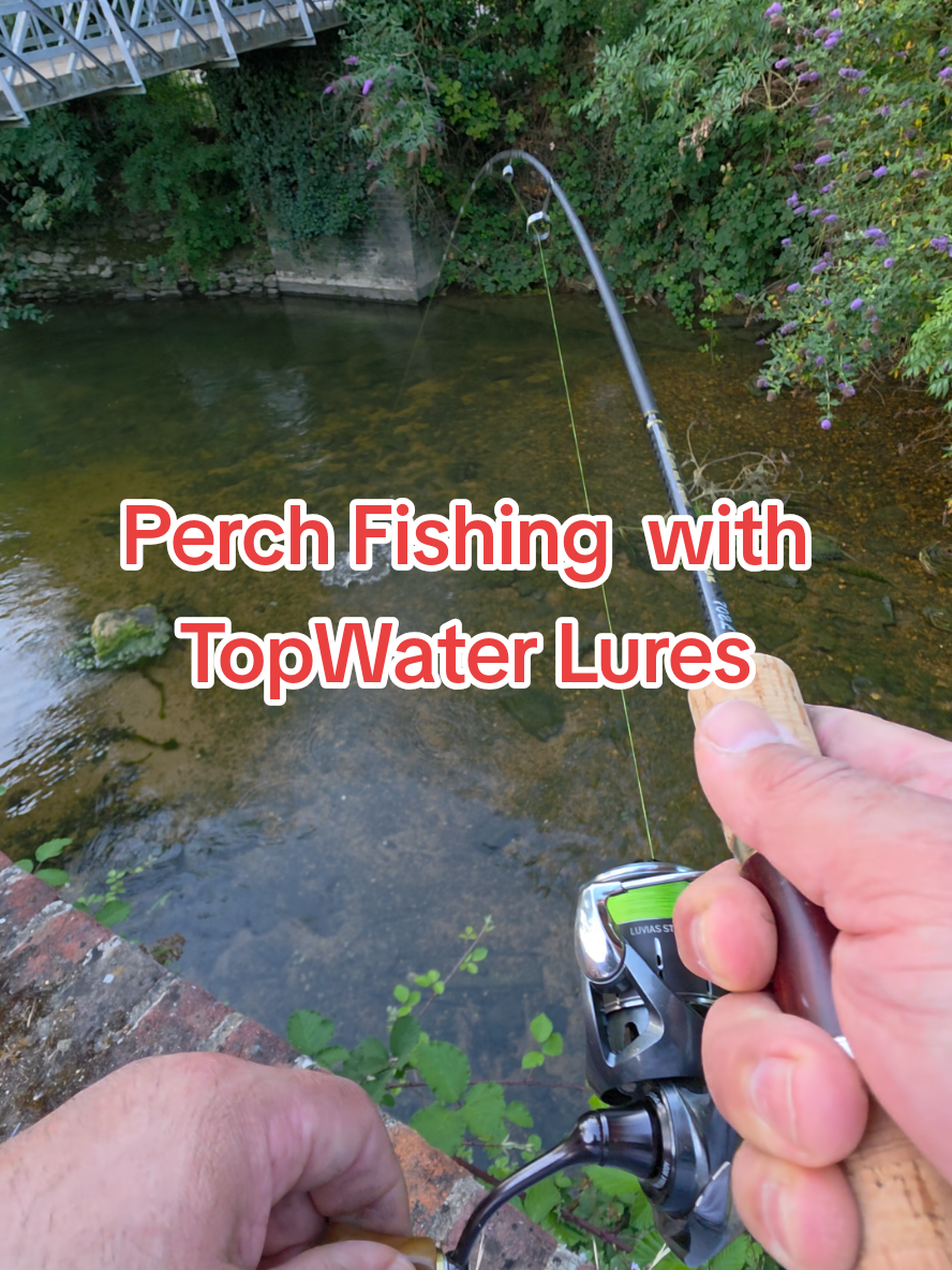 @BF Angler