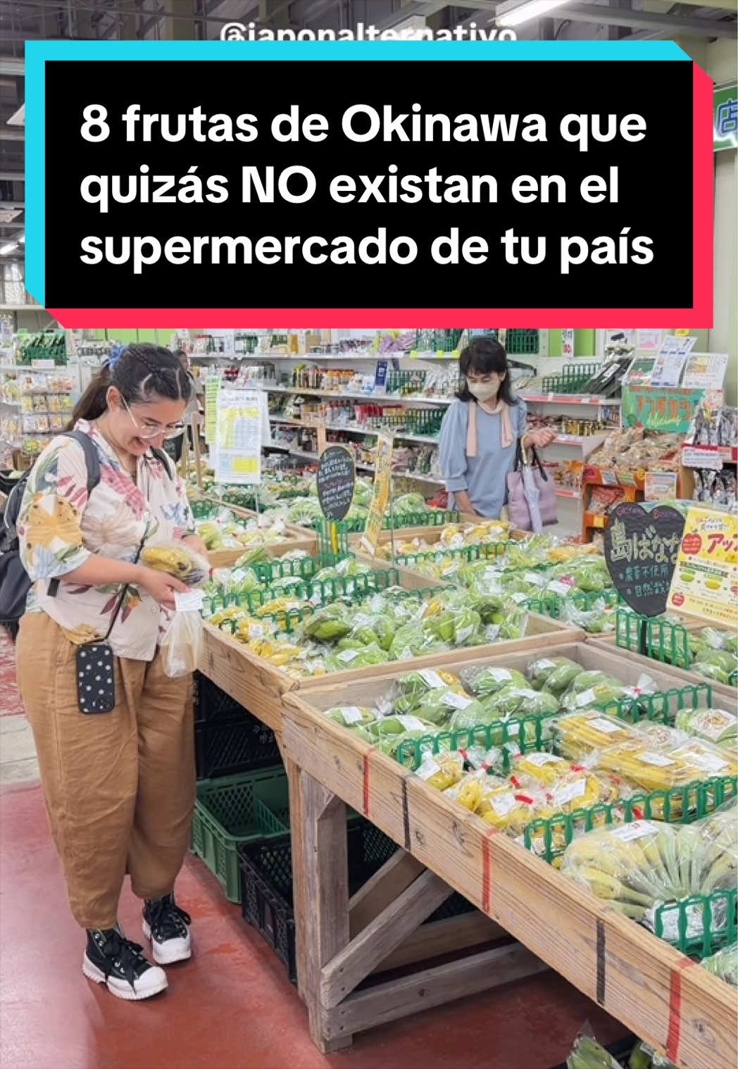 @Jap&oacute;n Alternativo