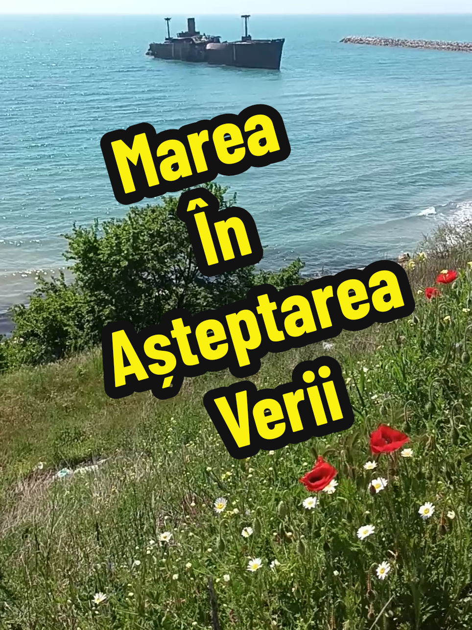 @👉 Băiatul De La Mare 🌊