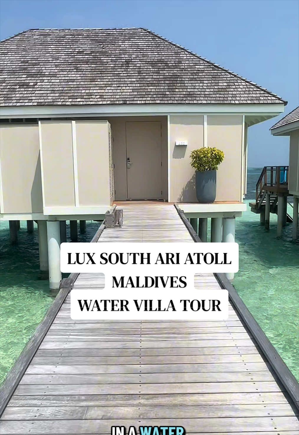 @Veggievegantraveller