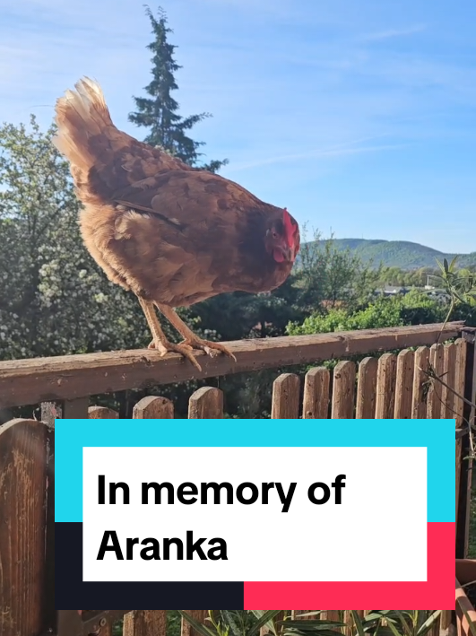 @Akt&iacute;van kuty&aacute;val