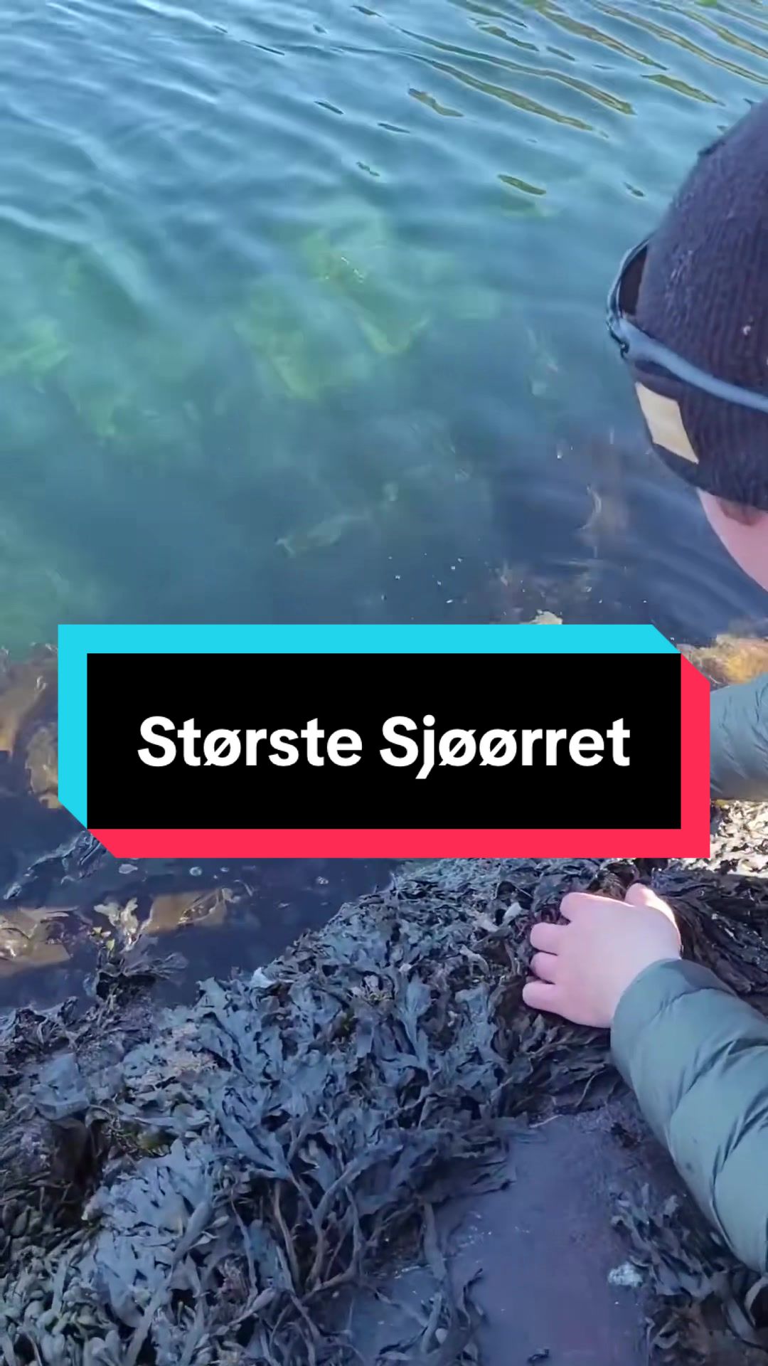 @Sørfiske