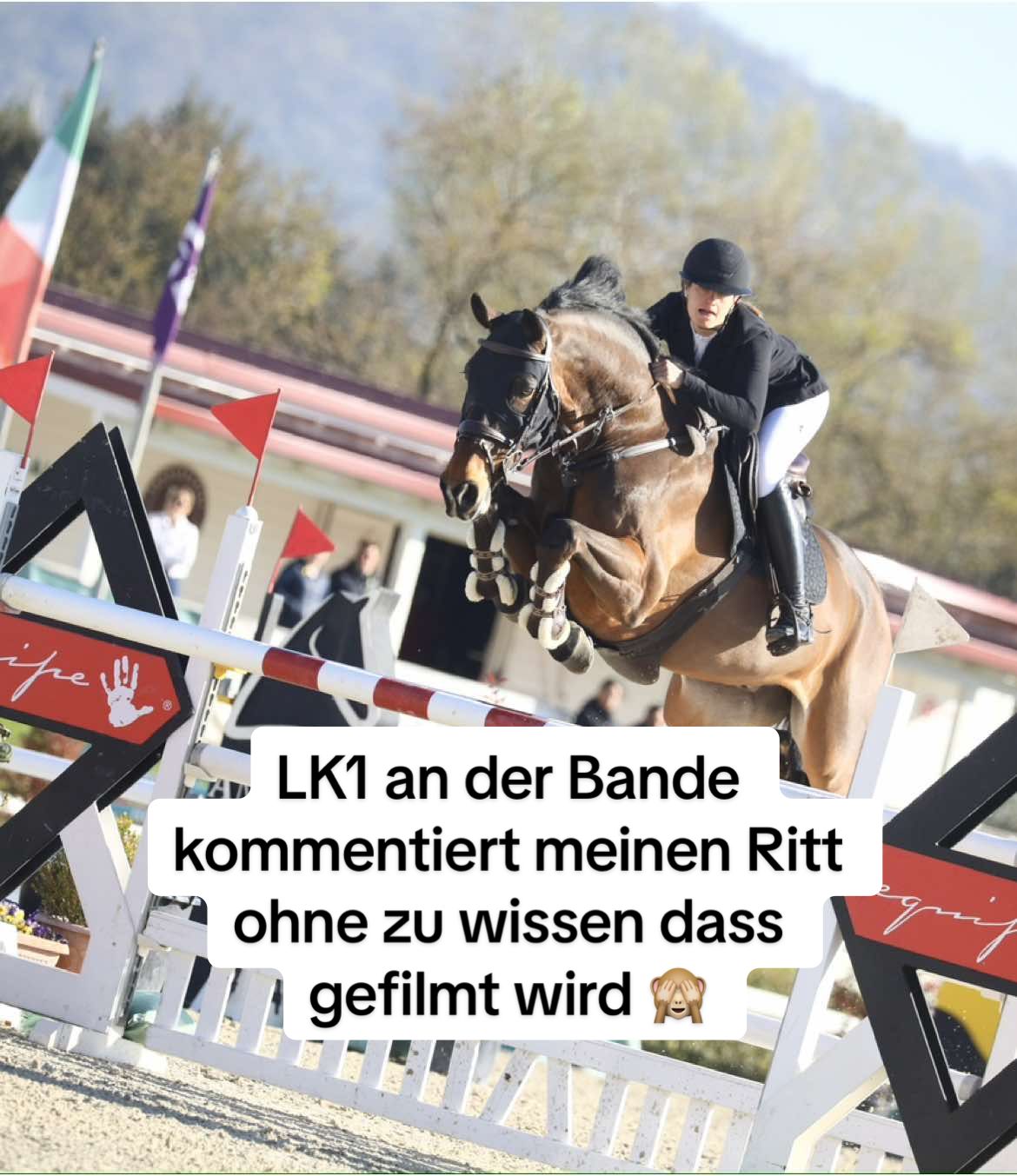 @lam.showjumping