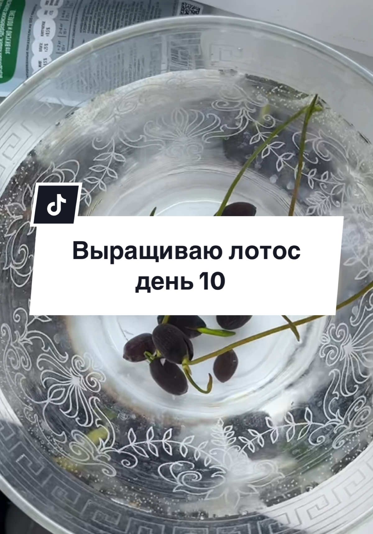 @ValerurusDIY