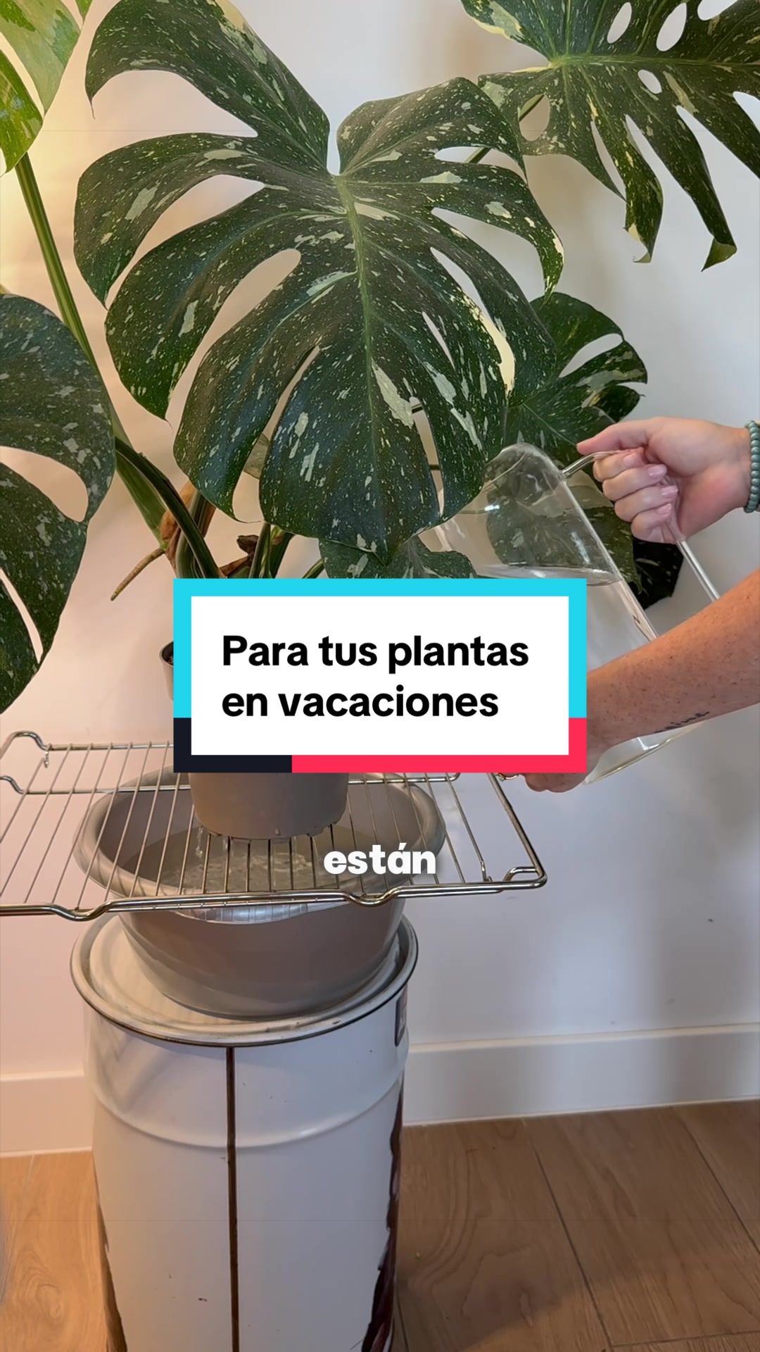 @🌱 En Abril Hojas Mil 🌱