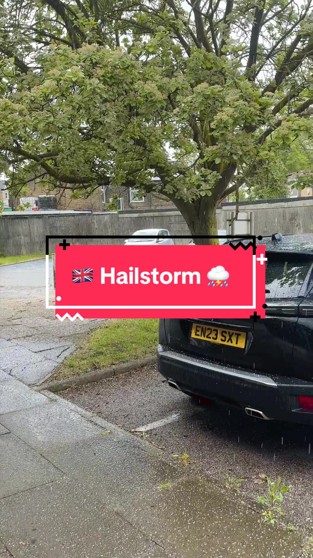 @Hasib Gazi 🇧🇩 🇬🇧
