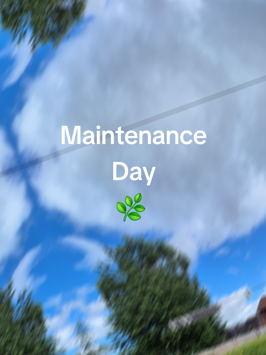 @AMC Garden Services