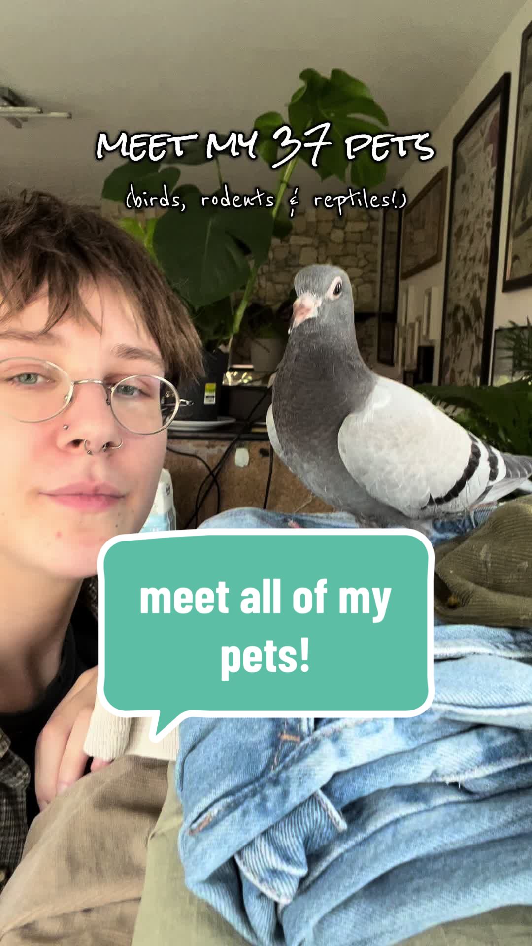 @Lisa‘s Pets