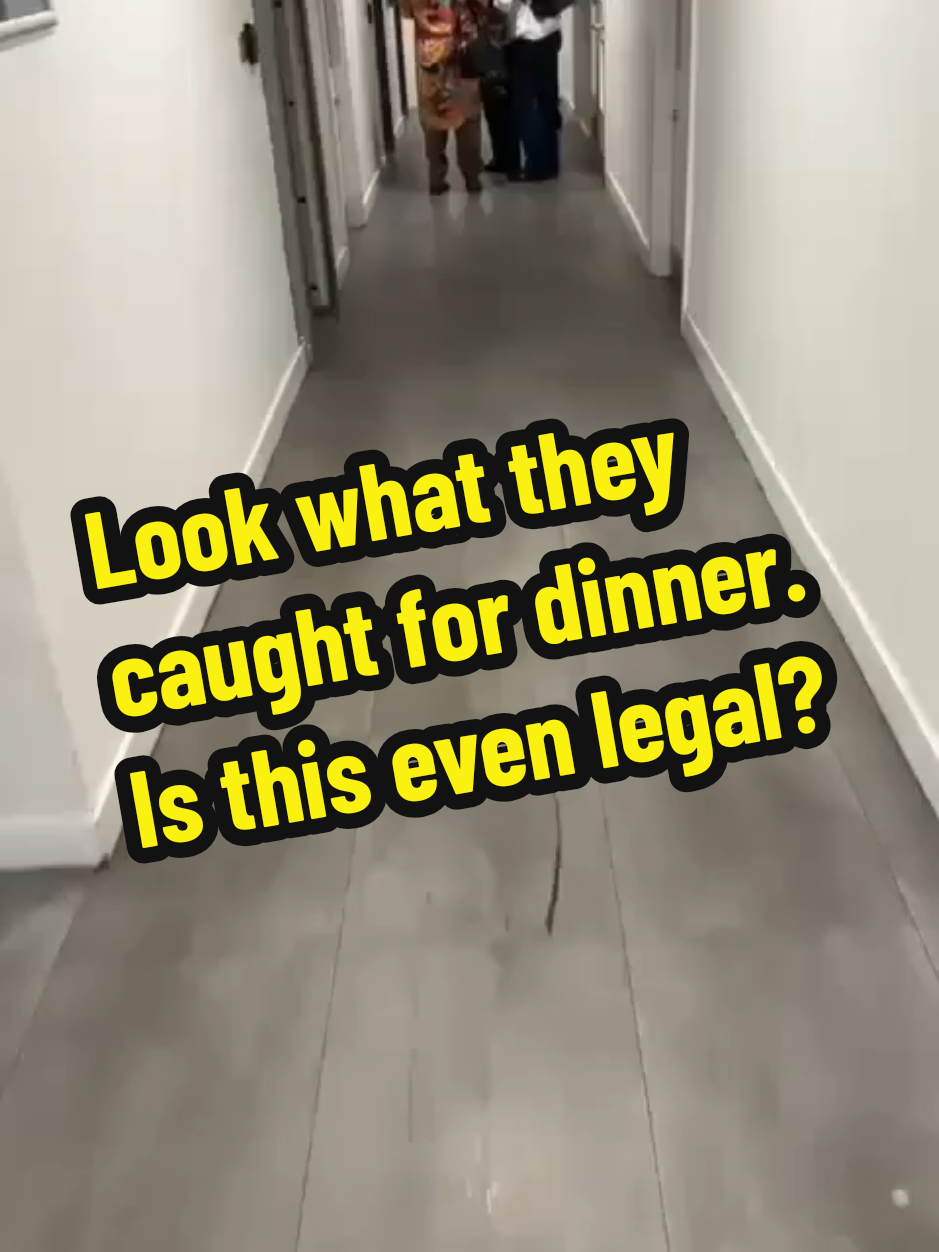 @jcorr911
