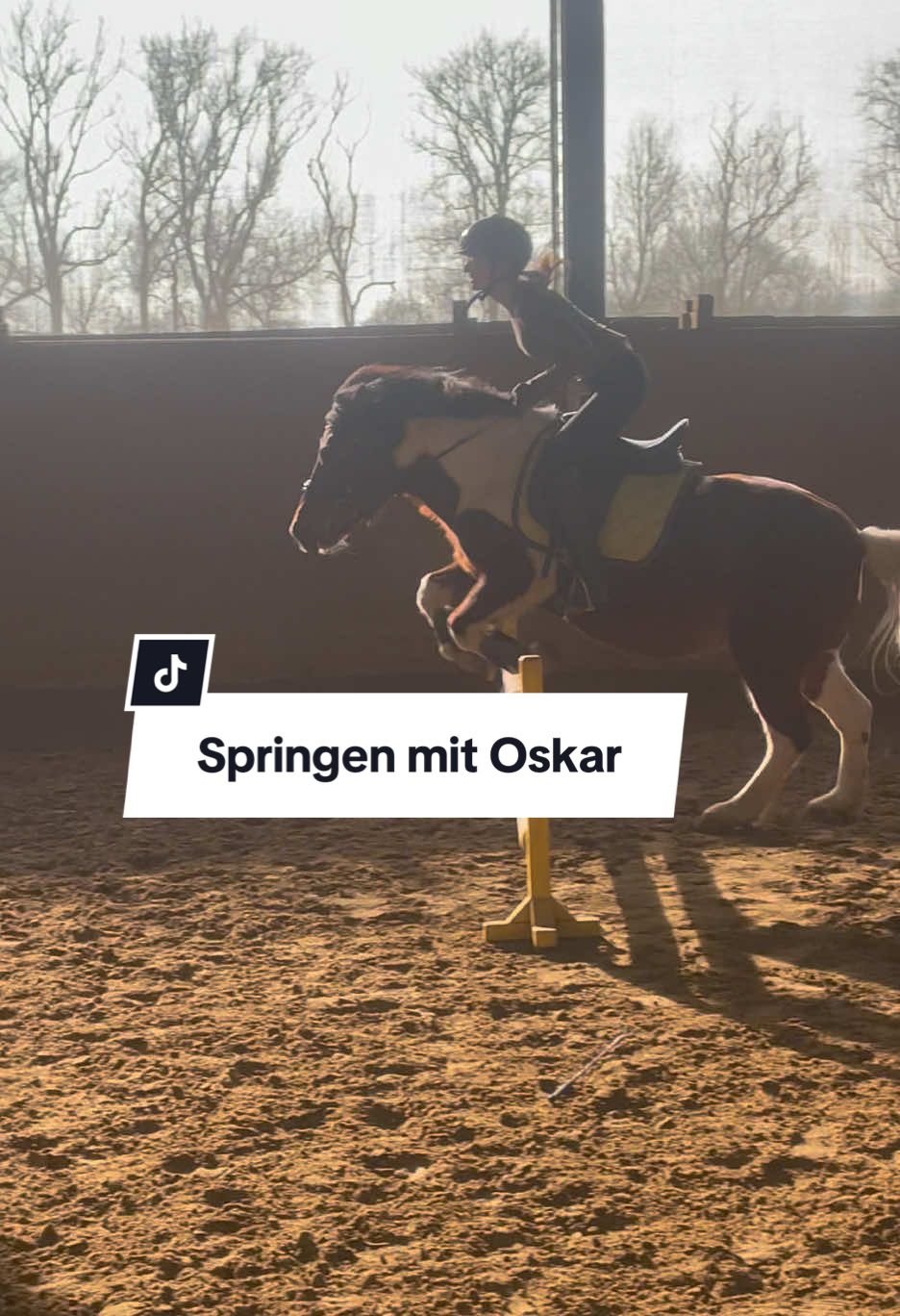 @reiterhofalteheld