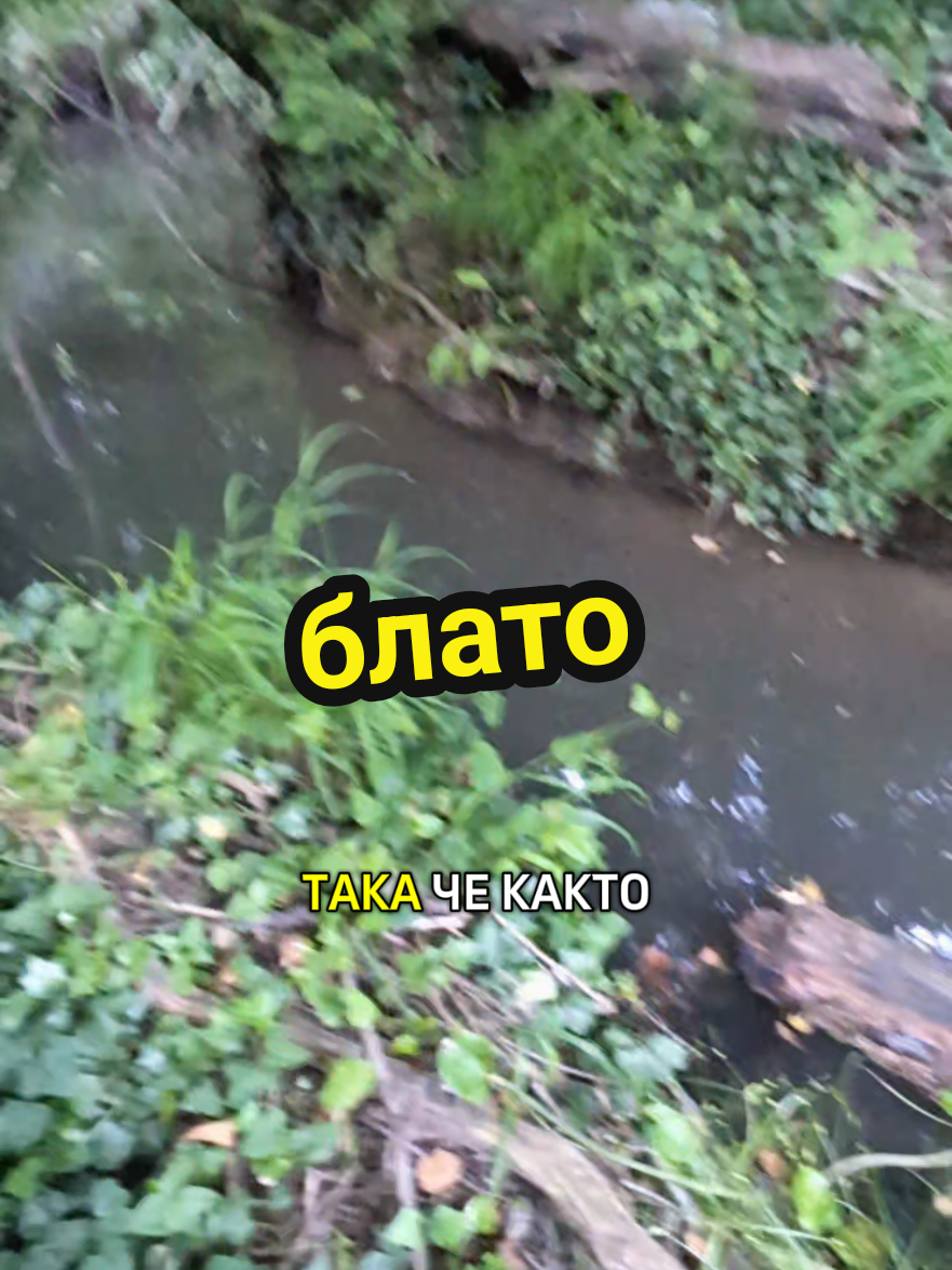 @Valentin B Naumov
