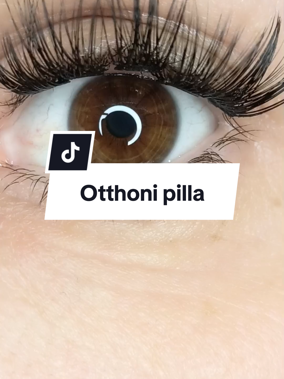 @LashMara 🦋