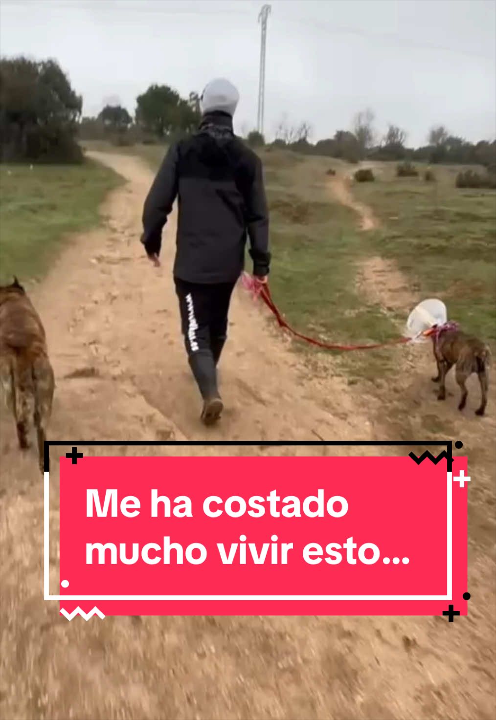 @adican_adiestradorcanino