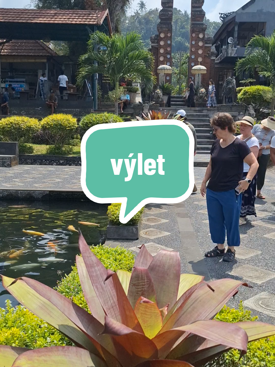 @Help by Sarah z Bali 🇲🇨🌴
