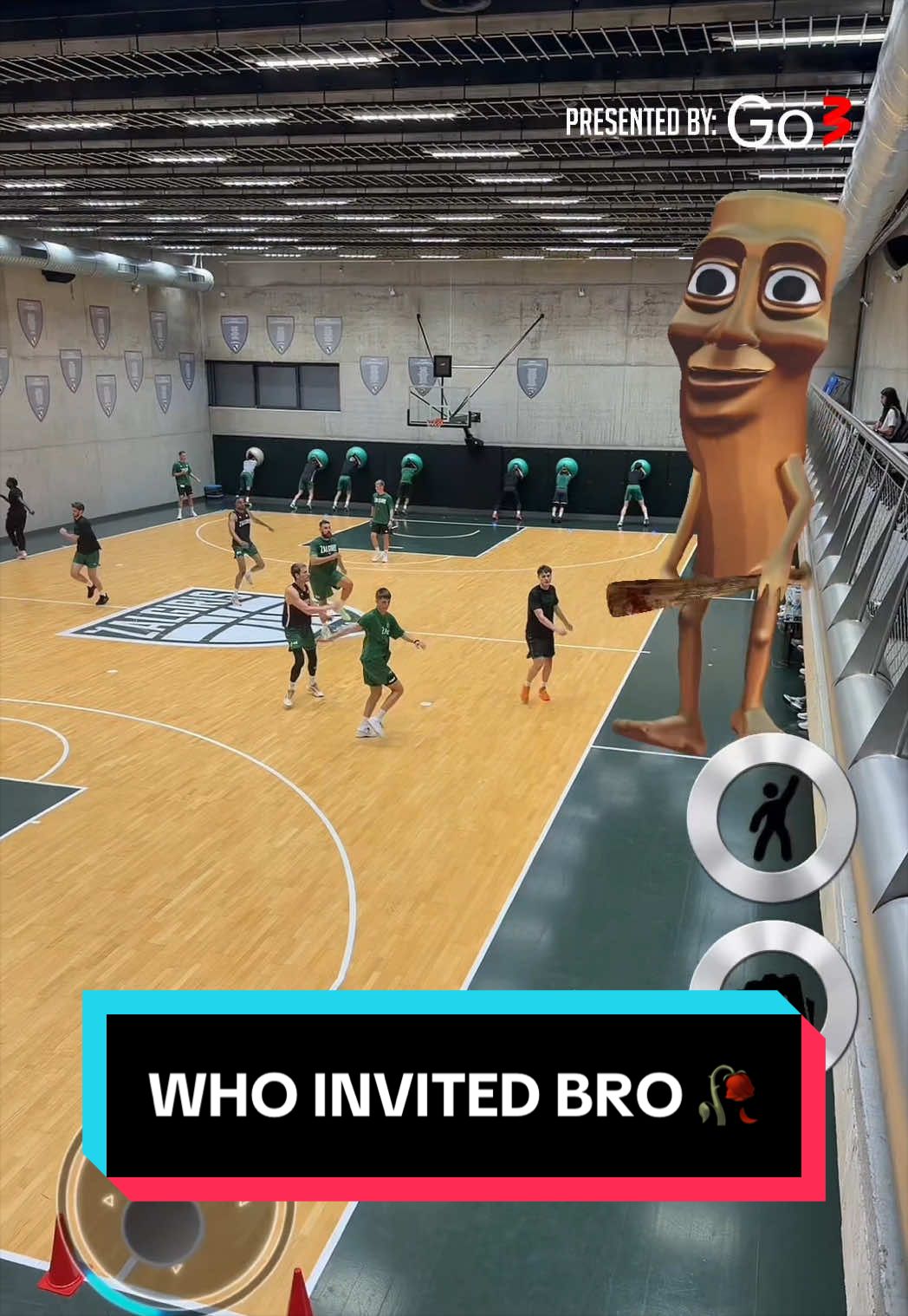 @bczalgiris