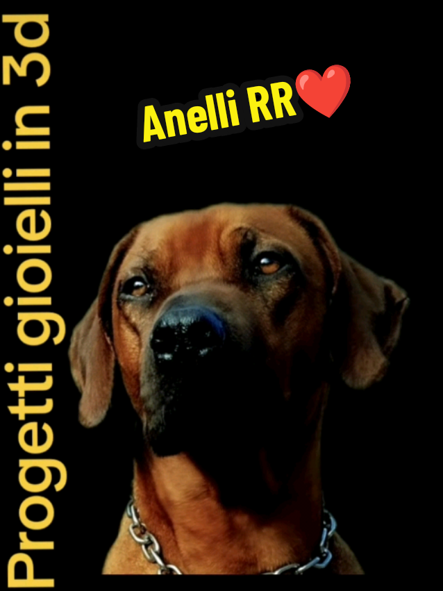 @Giotto gioielli 🐾❤️💍