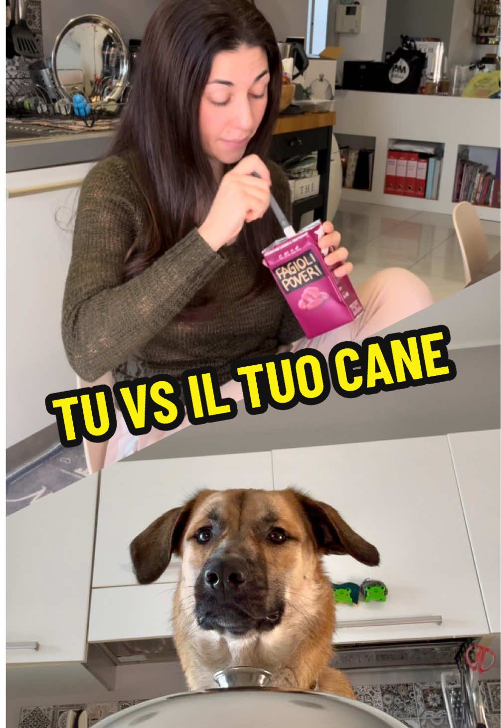 @Ambra Pazzani