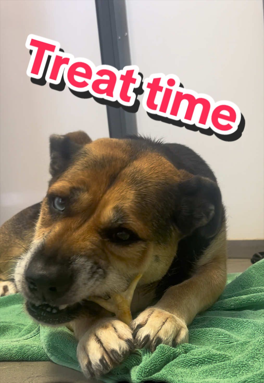 @RSPCA brighton