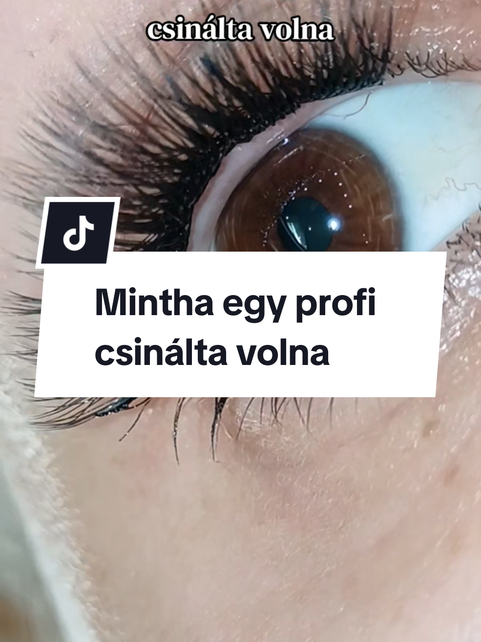 @LashMara 🦋