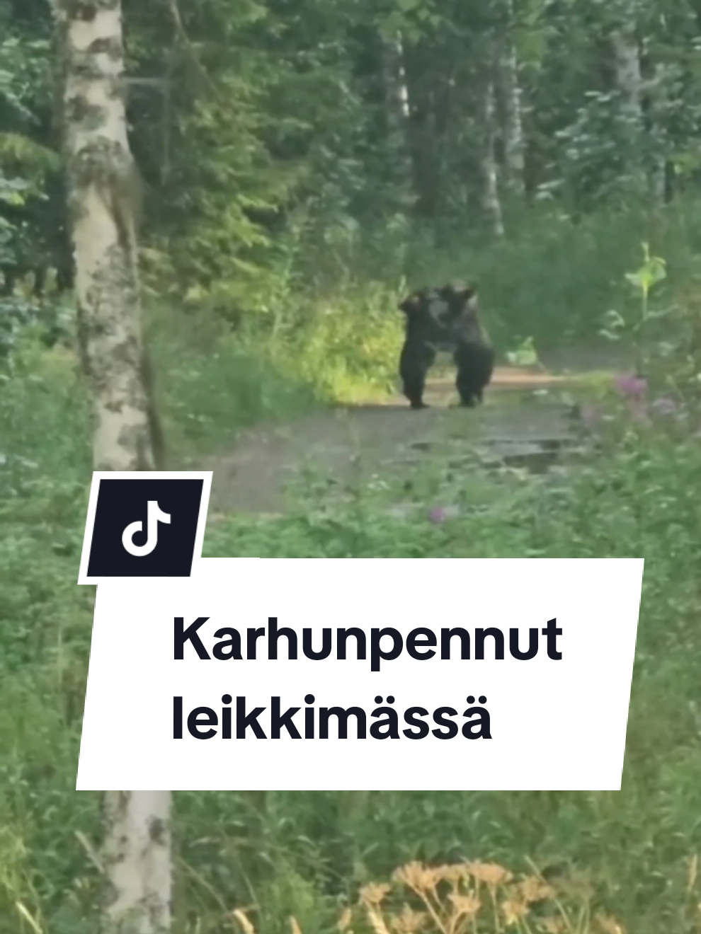 @Sanomalehti Karjalainen
